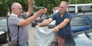 Vadavo žaltį ir automobilį