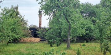 Namas sudegė, bet gaisras neišplito