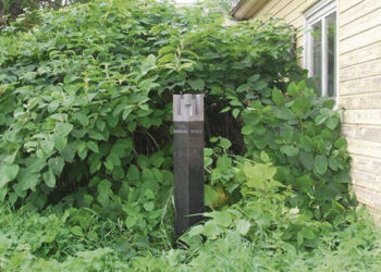 Šią vasarą signataro sodybvietė vis dar bus apleista?