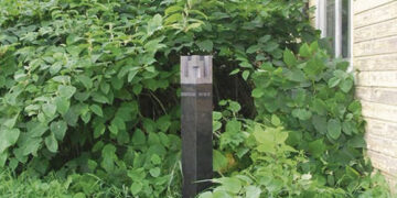 Šią vasarą signataro sodybvietė vis dar bus apleista?