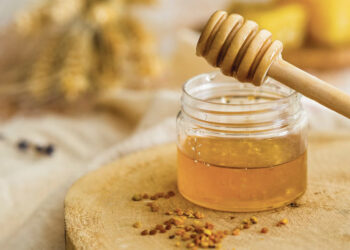 Šiųmetinis medasukis – itin sunkus