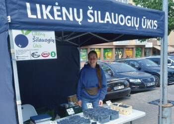 Atsiskaitymas banko kortele prekyvietėse vis dar retenybė