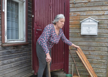 Šalčių pasitikti su kiauromis durimis nereikės?