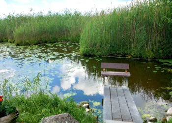 Per pusdienį sklypas nuvertėjo tūkstančiais