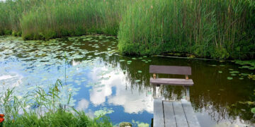 Per pusdienį sklypas nuvertėjo tūkstančiais