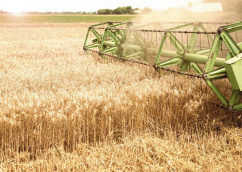 Biržų krašto ūkininkai ir su jais susiję asmenys bus teisiami už vengimą mokėti mokesčius valstybei