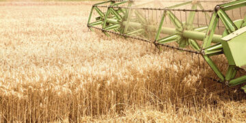 Biržų krašto ūkininkai ir su jais susiję asmenys bus teisiami už vengimą mokėti mokesčius valstybei