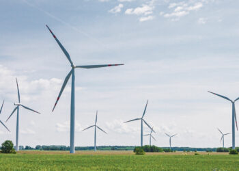 Pasi-įsi-kinkius vėją…