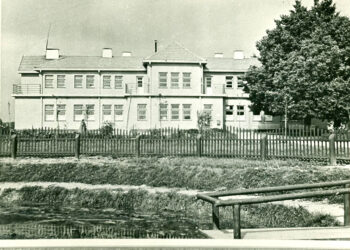 Ar kėsinamasi į Likėnų istoriją?