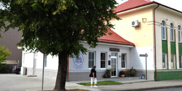 Atspėk, kas po lapais