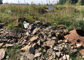 Neįveikiama šiukšlinimo problema