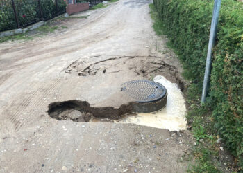 Liūtis paženklino statybos vietas