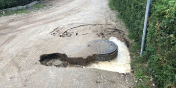 Liūtis paženklino statybos vietas