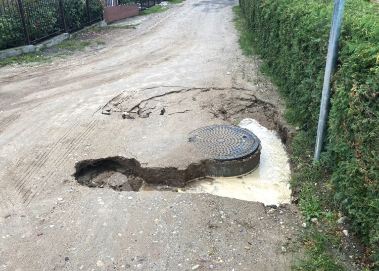 Liūtis paženklino statybos vietas