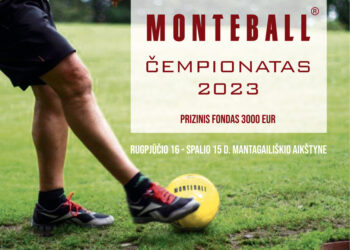 Ar gali Jūsų suburta komanda pralenkti varžovus ir tapti šio sezono čempione?