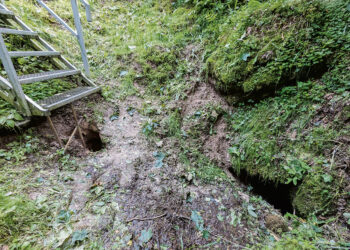 Karvės olos dugne atsivėrė urvas