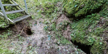 Karvės olos dugne atsivėrė urvas