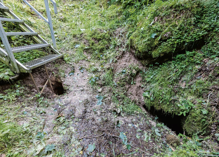 Karvės olos dugne atsivėrė urvas