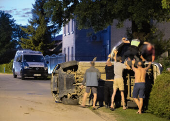 Dėl avarijos kaltas katinas?