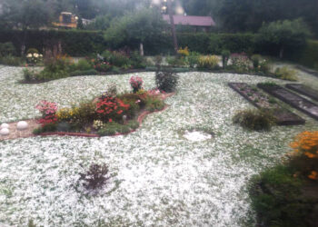 Kiemus nuklojo ledais