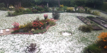 Kiemus nuklojo ledais