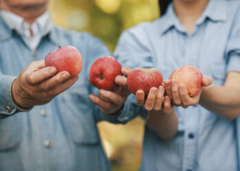 Praeivius vaišina obuoliais