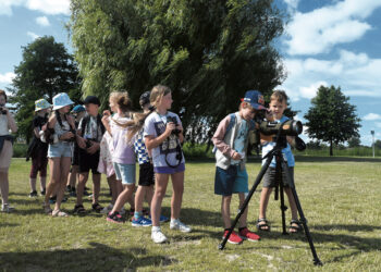 Nuotykiautojai. Nuotykių kodas: B.I.R.Ž.A.I.