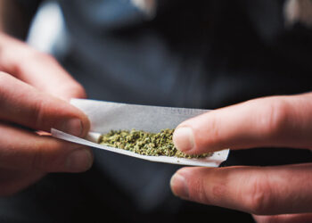 Įkliuvo tikrinant keliautojus NATO viršūnių susitikimo metu