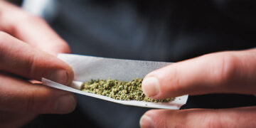 Įkliuvo tikrinant keliautojus NATO viršūnių susitikimo metu