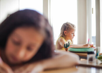 Visos dienos mokyklos galimybė – ir Biržuose