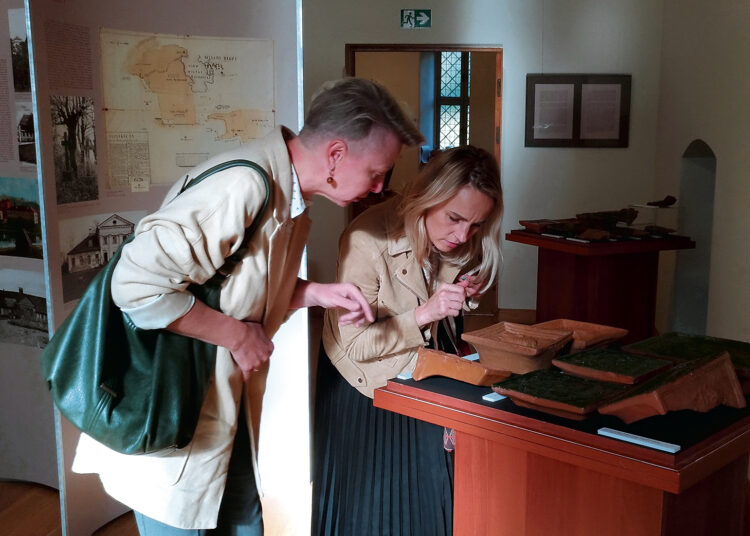 Apie praeitį liudija kokliai