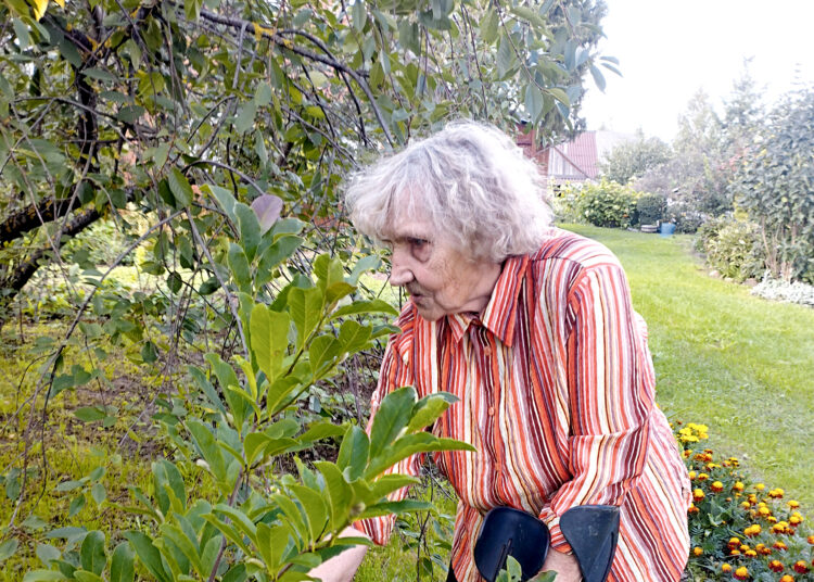 Gyvenimo džiaugsmo suteikia žmonės, siuvinėjimas ir karamelinių braškių kvapas