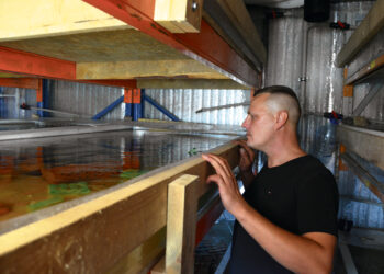 Buvusioje mokykloje – australiškos kilmės akvakultūra