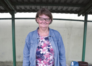 Nori grybų – žinok, kur ir kada jų ieškoti