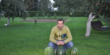 Biržiečio sode pūpso  ypatingo skonio arbūzai