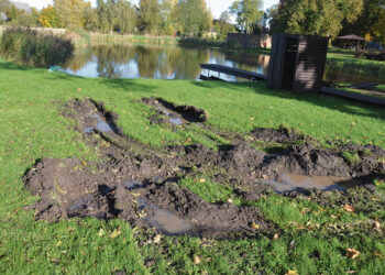 Apie ugnį miške ir gaisro padarinius Pabiržėje