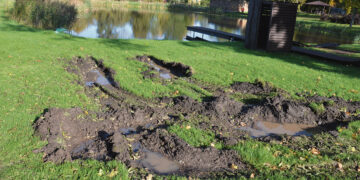 Apie ugnį miške ir gaisro padarinius Pabiržėje