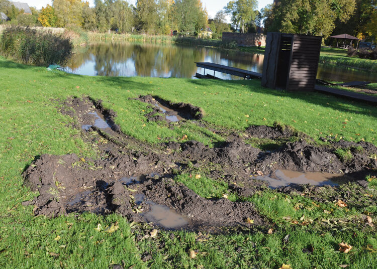 Apie ugnį miške ir gaisro padarinius Pabiržėje