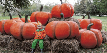 Vienas įsimintiniausių ir įspūdingiausių metų renginių prasidėjo!