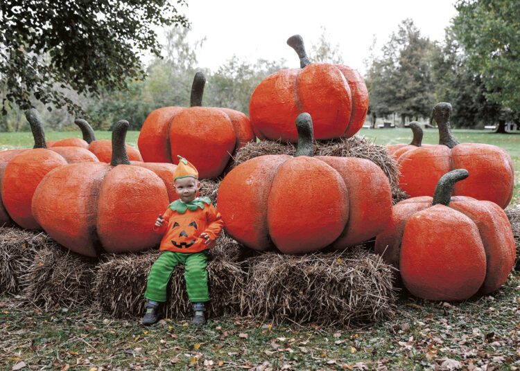 Vienas įsimintiniausių ir įspūdingiausių metų renginių prasidėjo!