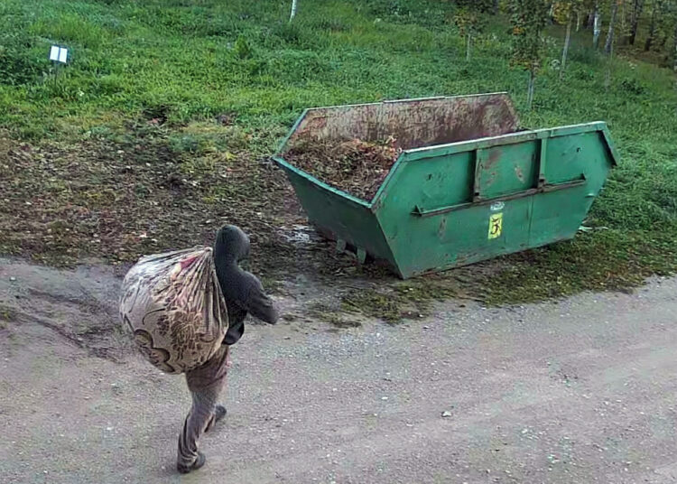 Pripratimas pikčiau prigimimo