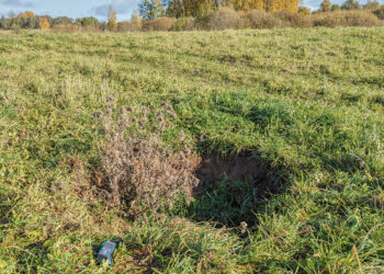 Pievoje – nauja karsto įgriuva