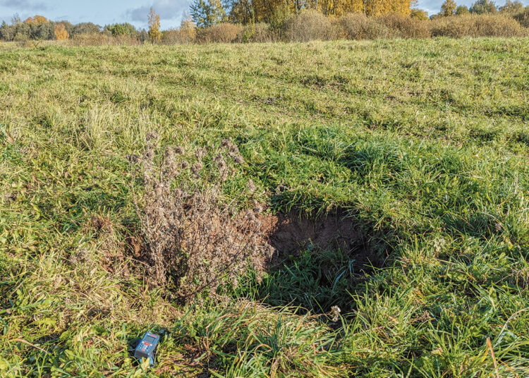 Pievoje – nauja karsto įgriuva