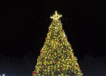 Prašo padovanoti kalėdinę eglę