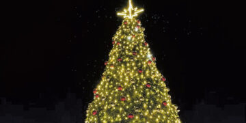 Prašo padovanoti kalėdinę eglę
