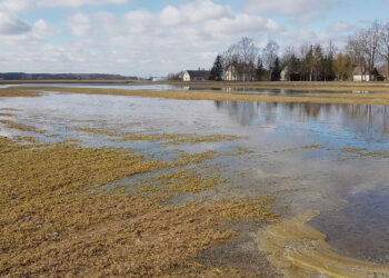 Ministerija nori „atsikratyti“ melioracijos įrenginių?