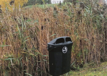 Europėjame ir šunų vedžiojimo fronte