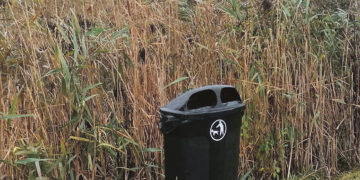 Europėjame ir šunų vedžiojimo fronte