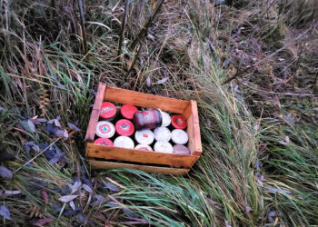 Kas dygsta pakelėse