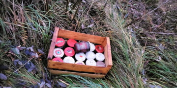 Kas dygsta pakelėse